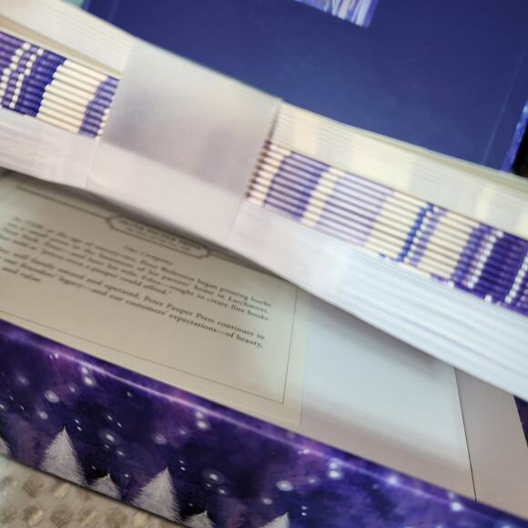 PETER PAUPER PRESS NWT DELUXE HOLIDAY CARDS PEACE DOVE - Picture 2 of 4